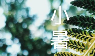 小暑的气候特点及养生原则 小暑的节气特点