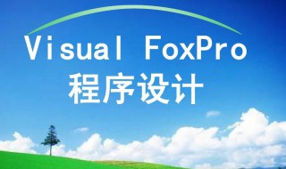 vf是什么意思 vr是什么意思