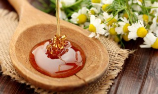 蜂蜜和什么不能同食