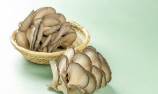 蘑菇和蜂蜜能不能一起吃（蘑菇和蜂蜜能不能一起吃呢）
