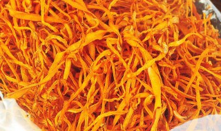 虫草花不能和什么一起煲汤（虫草和什么泡水喝效果最好）