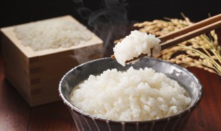 减肥米饭能吃吗（减肥米饭能吃吗热量高吗）