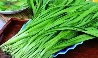 韭菜还能吃吗（冻过的韭菜还能吃吗）