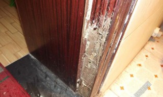 如何防白蚁入屋 如何防白蚁入屋的方法