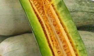 羊角蜜的籽为什么是苦的 羊角蜜的籽发苦