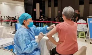 老人打完新冠疫苗注意事项 老人打完新冠疫苗注意事项有哪些