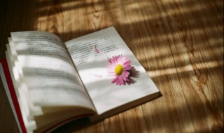 冲鸡煞西是什么意思 乙卯时冲鸡煞西是什么意思