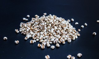 排湿气最快的食物（排湿气最快的食物排名）