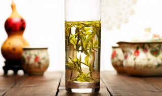 喝什么茶除口臭（喝什么茶除口臭效果最好）