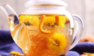 柠檬菊花茶的功效与作用及禁忌 柠檬菊花茶有什么作用