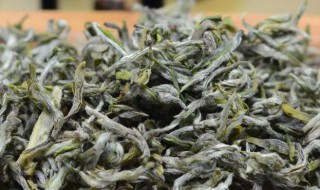 雪芽茶的功效与作用及禁忌 雪芽茶的功效与作用及禁忌