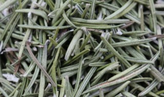 迷迭香花茶的功效与作用 迷迭香花茶的功效与作用
