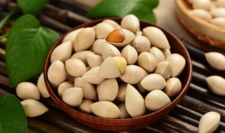 白果仁的功效与作用 白果仁的功效与作用及禁忌的功效与作用