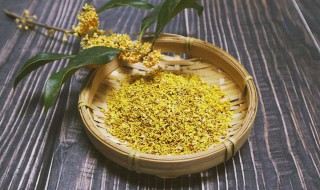 喝桂花的好处 喝桂花茶有什么好处和坏处
