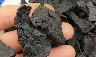 生熟地的功效与作用（生熟地的功效与作用禁忌）