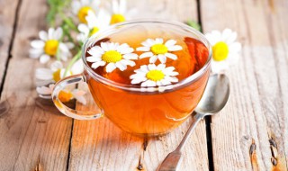 菊花茶搭配大全（菊花茶十大最佳搭配）