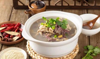 当归羊肉汤的功效与作用（生姜当归羊肉汤的功效与作用）