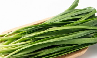 韭菜的营养价值及韭菜的功效作用 韭菜的营养价值和功效与作用