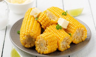 玉米的营养价值与食用功效 常吃玉米的八大好处