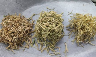 金银花有什么功效与作用 金银花有什么功效与作用是什么