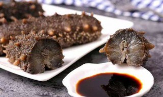 哪些人群不适合吃海参 哪些人群不适合吃海参补品