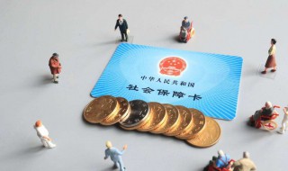怎样查社保缴费情况（查社保交了多少年怎么查）
