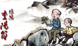 重阳节的感慨（重阳节的感慨句子）