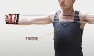 pc肌锻炼方法 pc肌锻炼方法教学动图