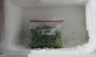 豆角冷冻储存的方法（豆角冷冻了还能吃吗）