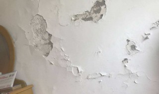 墙壁上的石灰怎么处理（墙上的石灰怎么弄掉）