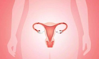 女人保养卵巢吃什么 女人保养卵巢吃什么药最好
