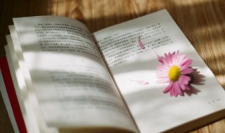 兄妹之间的唯美短句（兄妹之间的唯美短句简短）