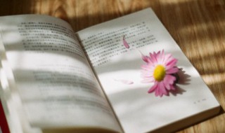 团结的句子励志 班级团结的句子励志