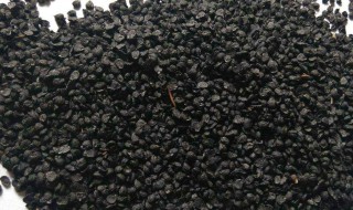 韭菜籽的功效是什么呢 韭菜籽的功效与用法
