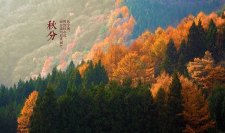 秋分谚语 秋分谚语有哪些