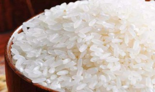 食品安全六不吃（食品安全六不吃内容）