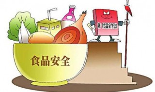 食品安全的重要性 食品安全的重要性和意义