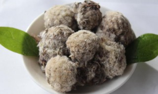 藏雪莲花的功效与作用及食用方法 藏雪莲花的功效与作用及食用方法视频