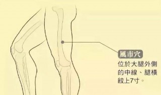 瘦大腿内侧的方法（瘦大腿内侧最有效方法）