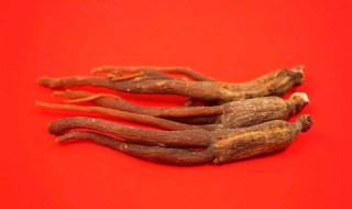 当参的功效与作用及食用方法 当参的功效与作用及食用方法禁忌
