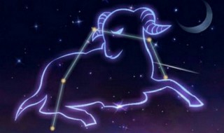 双子座和什么星座最配（双子座和什么星座最配对）