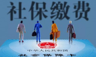 如何查询社保缴费情况（微信如何查询社保缴费情况）
