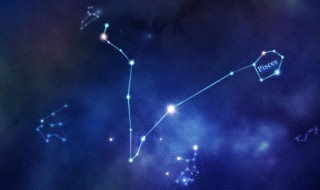 射手女和什么星座最配 狮子男和什么星座最配