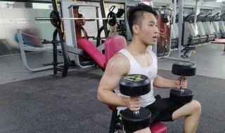 三角肌后束锻炼方法（三角肌后束锻炼方法哑铃）