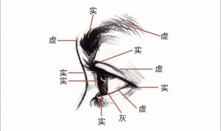 五官指的是哪五官 请问五官指的是哪五官