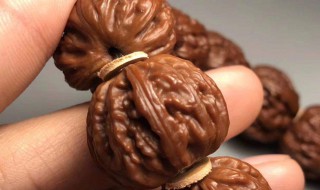 盘核桃的方法与技巧 盘核桃的方法与技巧视频