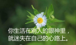 人生感言短句（人生感言短句给女儿的）