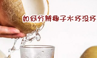 如何分辨椰子水坏没坏（椰子进货渠道）