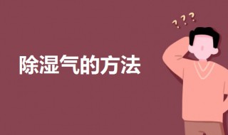 如何除湿气（如何除湿气最有效的方法）