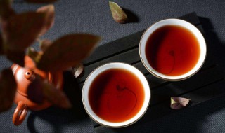 如何喝普洱茶（如何喝普洱茶减肥效果最好）